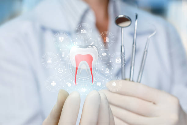 Best General Dentistry  in Round Lake Heights, IL